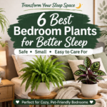 Best Bedroom Plants for Better Sleep